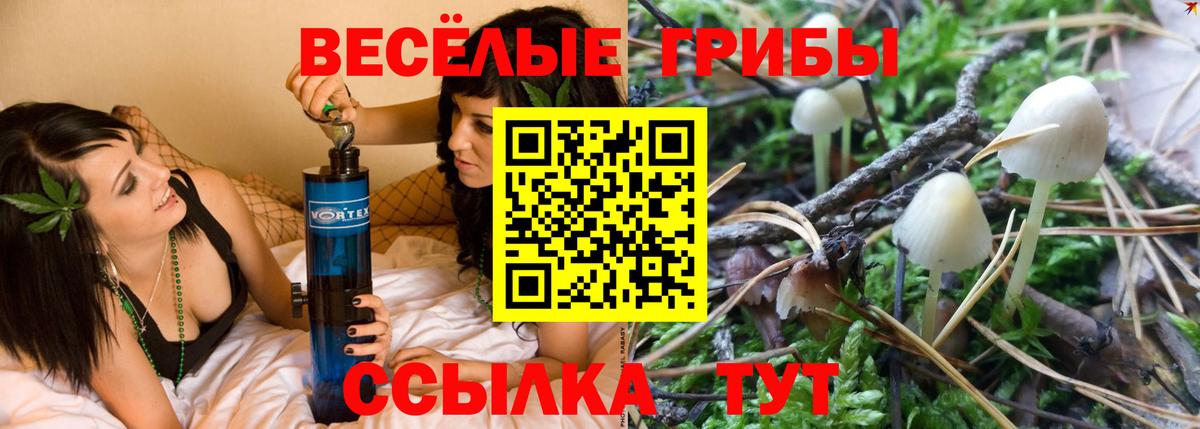 Галлюциногенные грибы MAGIC MUSHROOMS  Вход с VPN  Котовск 