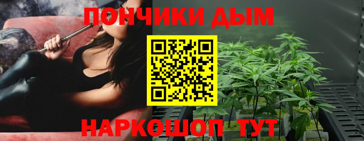 Шишки марихуана гибрид  Каннабис план  Вход с VPN  Котовск 